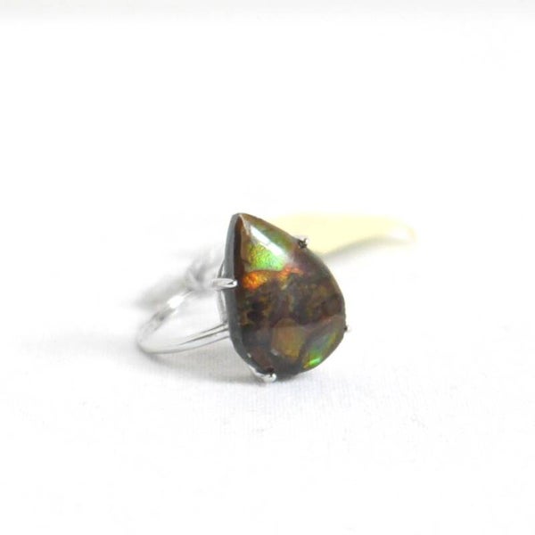 Ammoniet ring