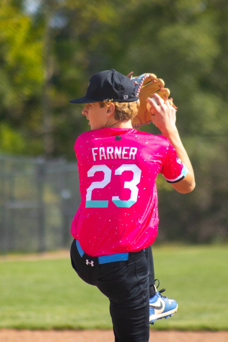 Flamingos baseball