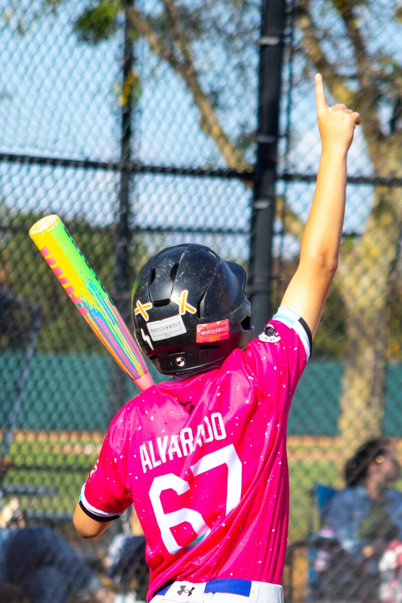 Flamingos baseball