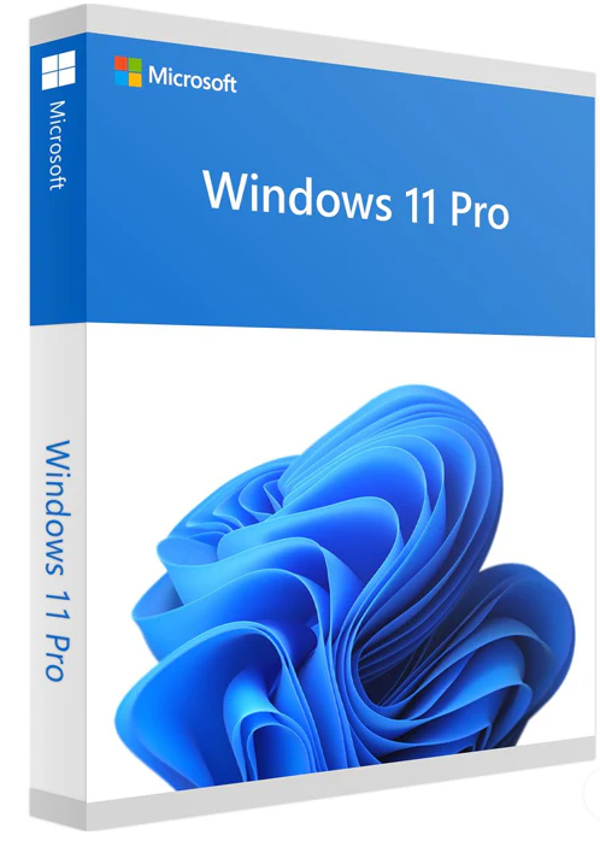 Windows 11 Professional OEM Key