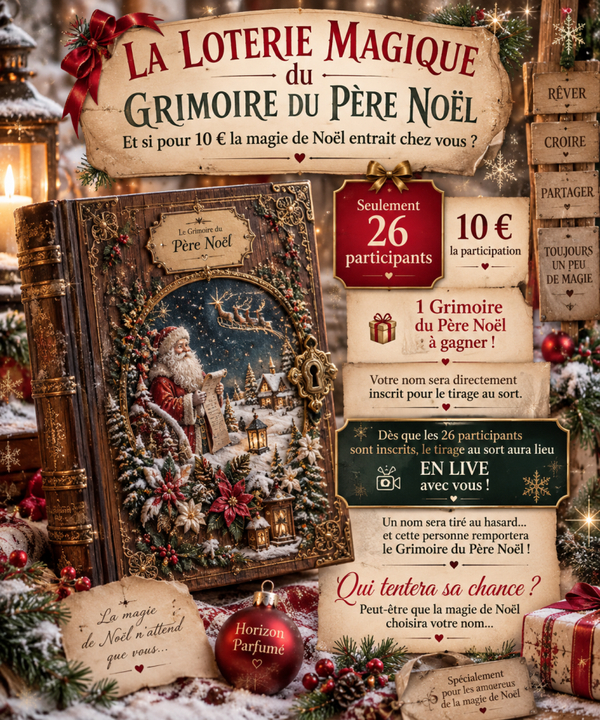 10 € POUR TENTER DE GAGNER LE GRIMOIRE DU PÈRE NOËL ! ✨