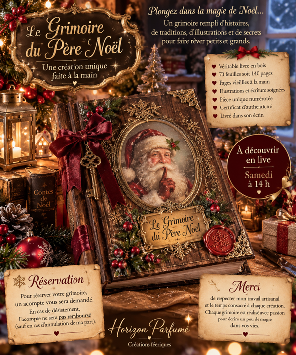 🎄 Le Grimoire du Père Noël – Réservations ouvertes 🎄✨Acompte