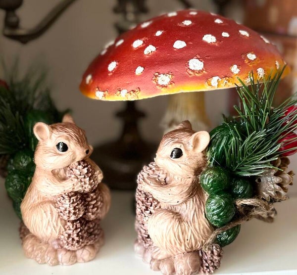 🌰 Petit écureuil, grandes provisions !