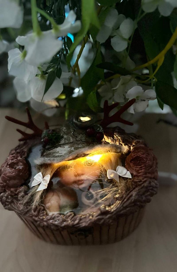🦌 La Boîte Enchantée de la Gardienne