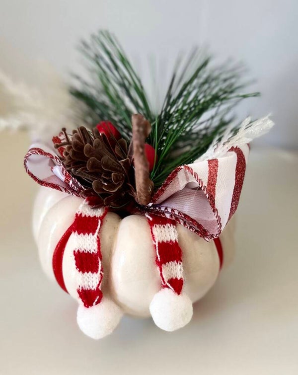 Citrouille Féérique de Noël ✨🎄