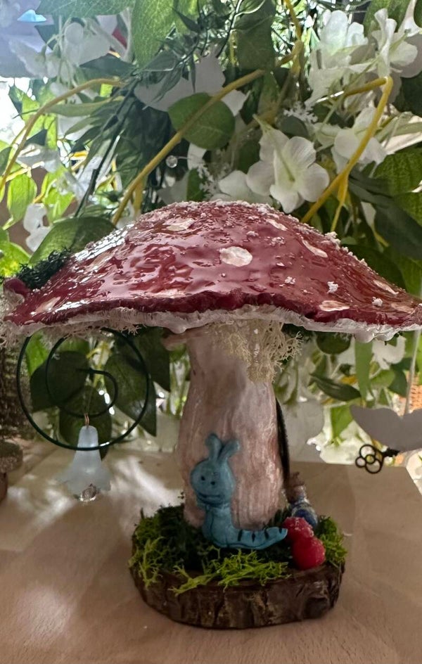 Champignon Wonderland