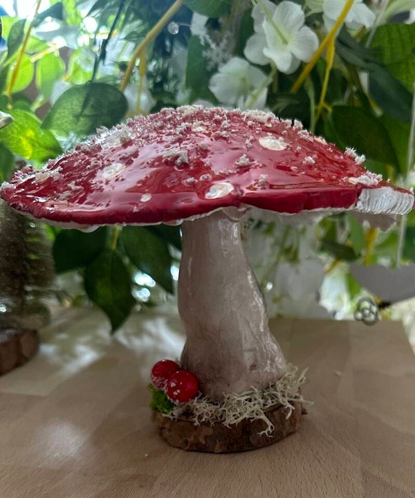 🍄 Champignon Enchanté  🍄