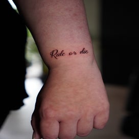 dsc01353-standard.jpg