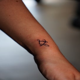 dsc01599-standard.jpg