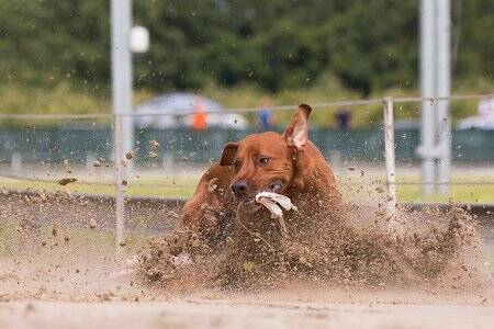 coopercoursing07.jpg