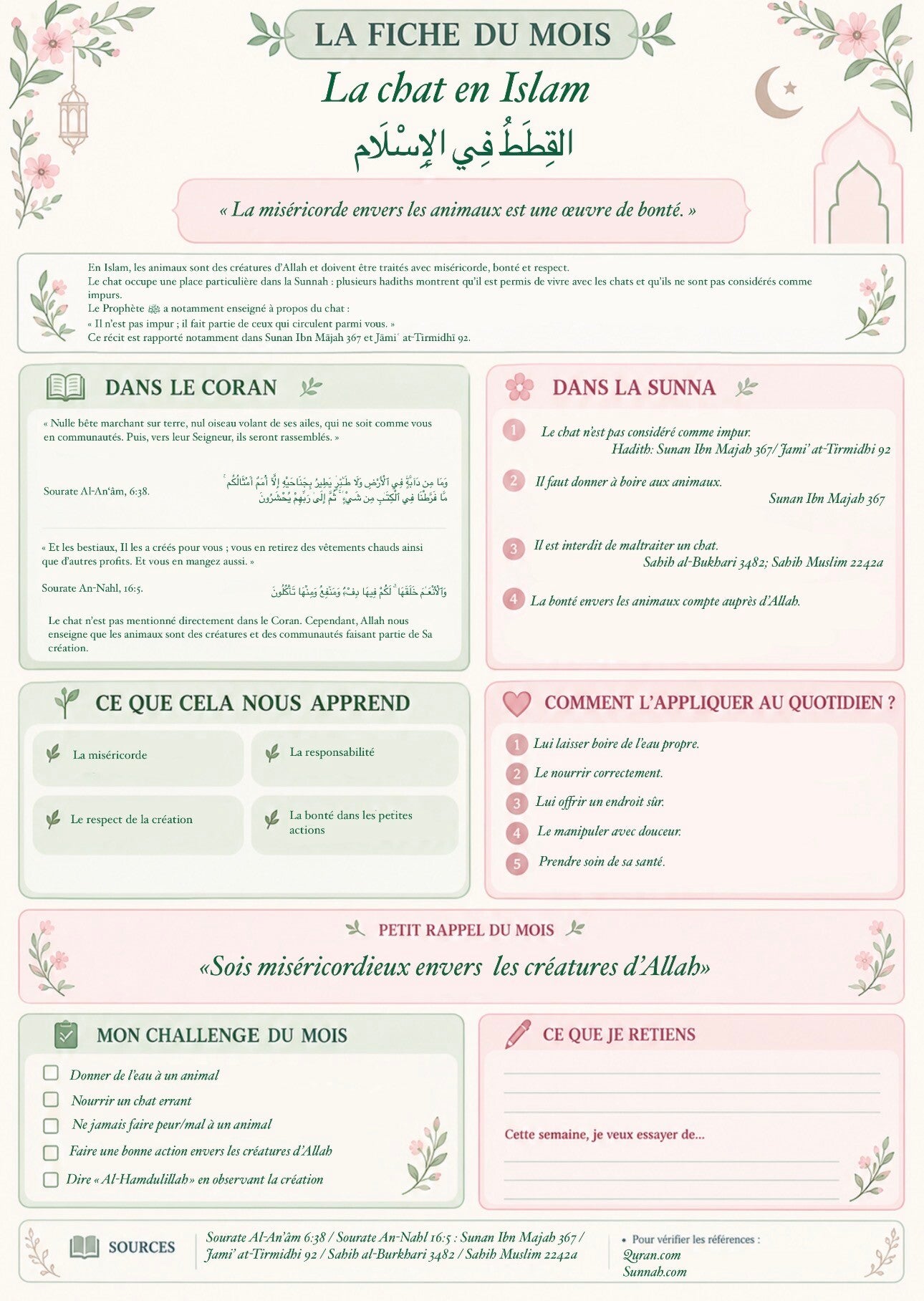 Septembre - Les chats en Islam