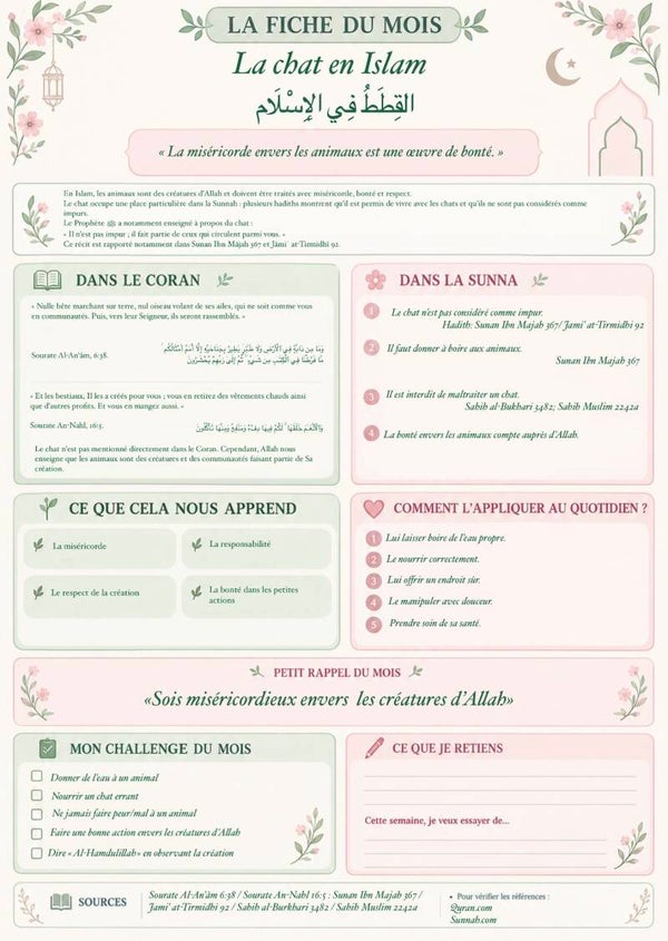 Septembre - Les chats en Islam