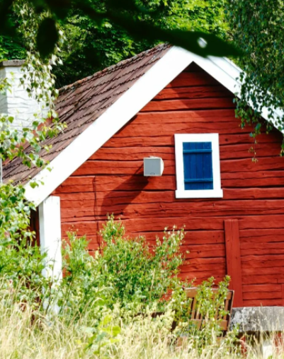 Borttagning igenvuxet ogräs