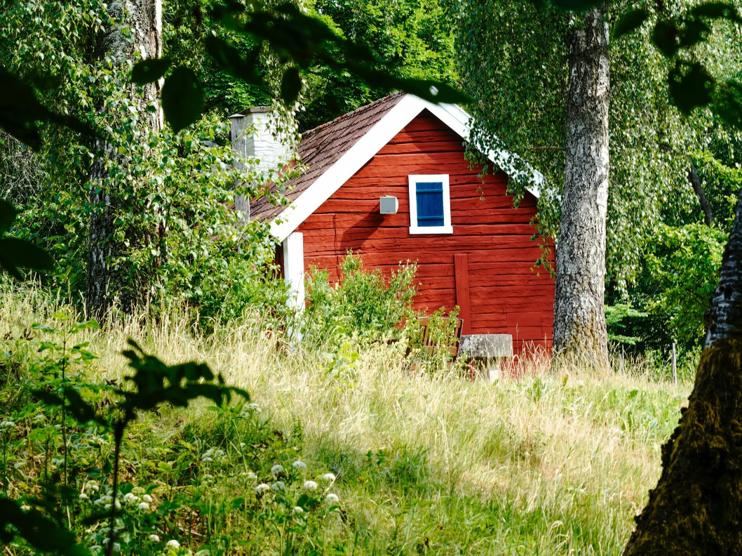 Trädgård och fastighet