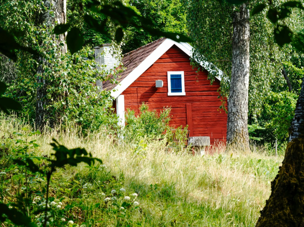 Trädgård och fastighet