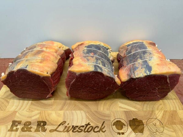 Silverside