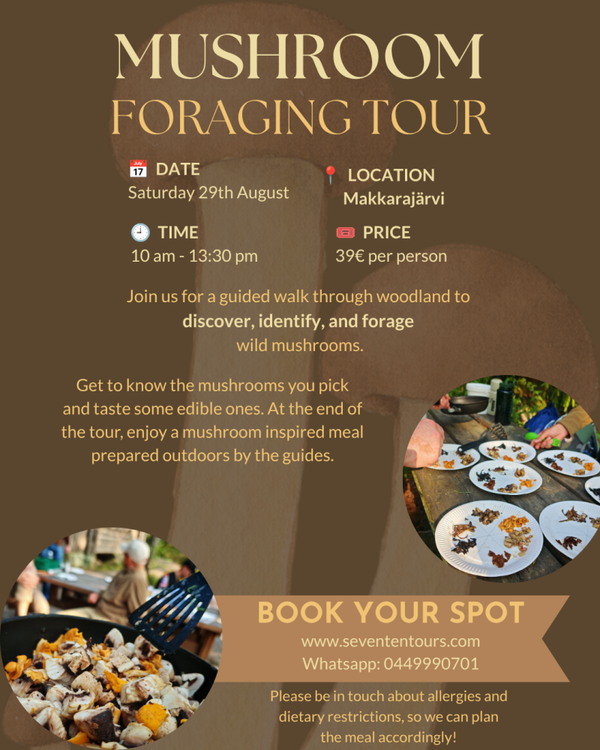 Mushroom Tour including meal / Opastettu sieniretki ja retkiruokailu