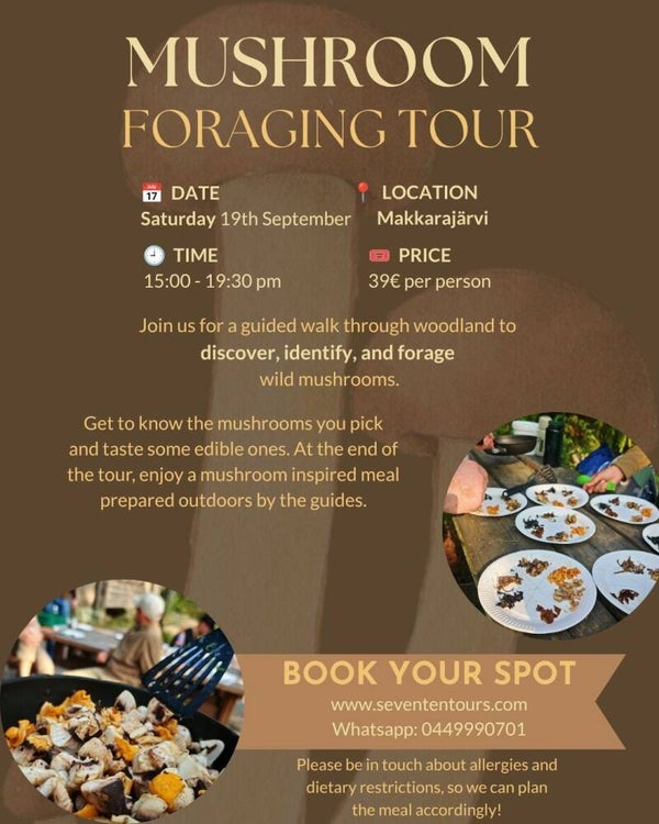 Mushroom Tour including meal in English