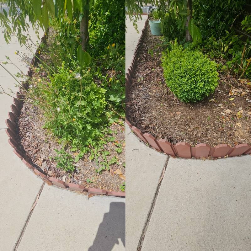 family-home-solutions-canberra-belconnen-garden-bed-cleanup-hedge-trimming-before-after-jpg-standard.jpg