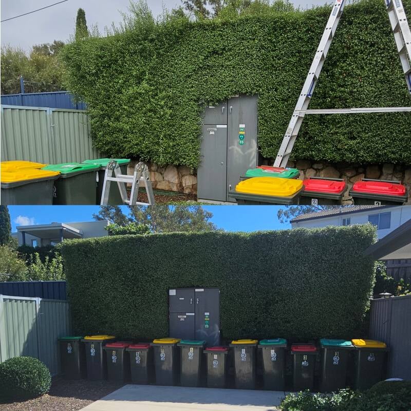 family-home-solutions-canberra-belconnen-hedge-trimming-large-hedge-before-after-jpg-standard.jpg