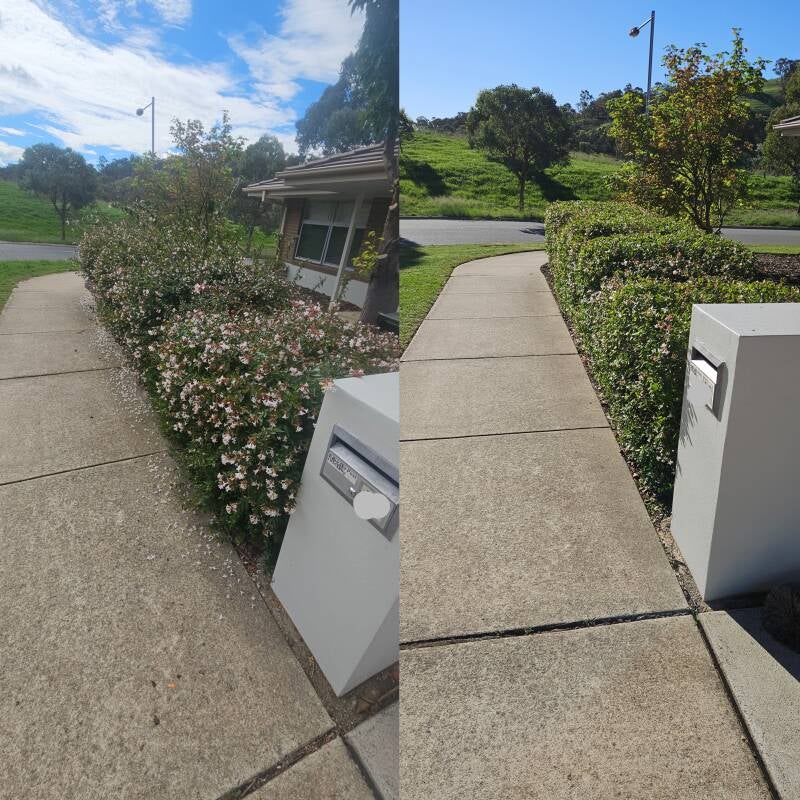 family-home-solutions-canberra-crace-hedge-trimming-front-yard-before-after-jpg-standard.jpg