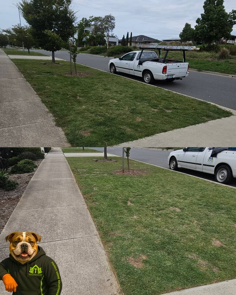 family-home-solutions-canberra-crace-lawn-mowing-verge-maintenance-before-after-jpg-standard.jpg