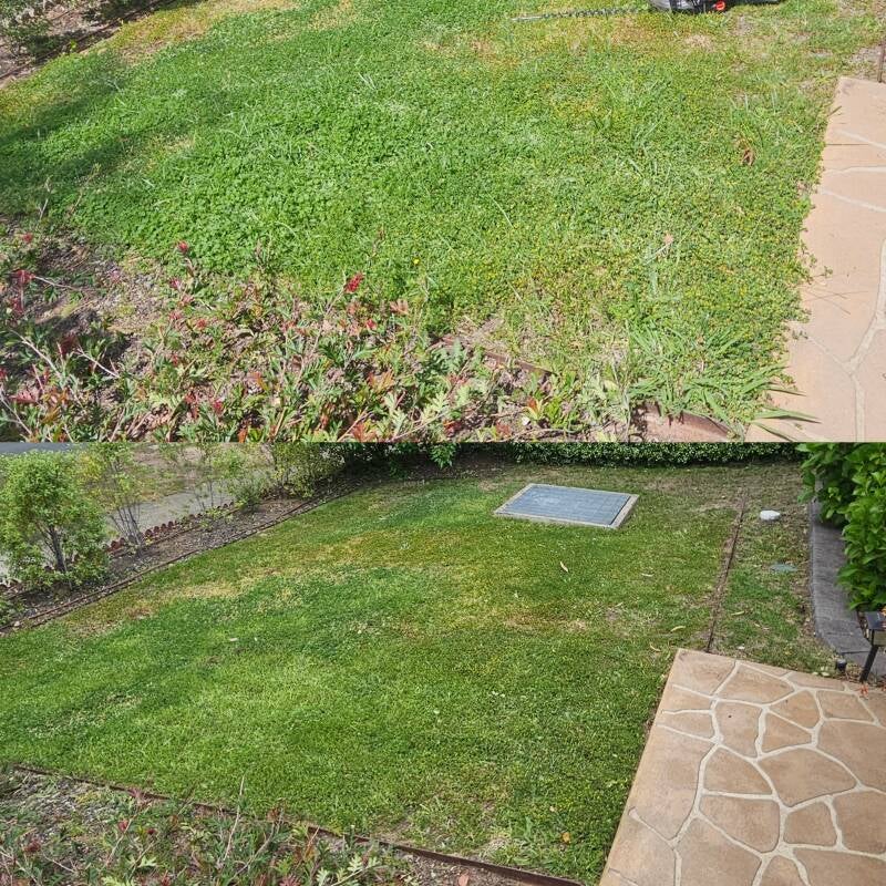 family-home-solutions-canberra-belconnen-lawn-mowing-garden-tidy-before-after-jpg-standard.jpg