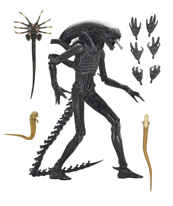 NECA ALIEN: ROMULUS XENOMORPH XX121 ULTIMATE 7 INCH SCALE ACTION FIGURE