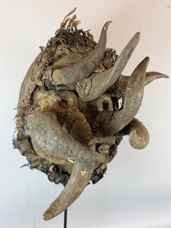 260781 - Rare & Old African Gela Guere Warrior Horn Head mask - Iv. Coast