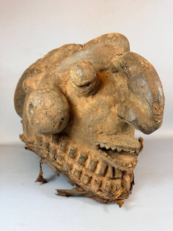 260892 - Very Old African Mambila Turtle helm mask - Cameroon.