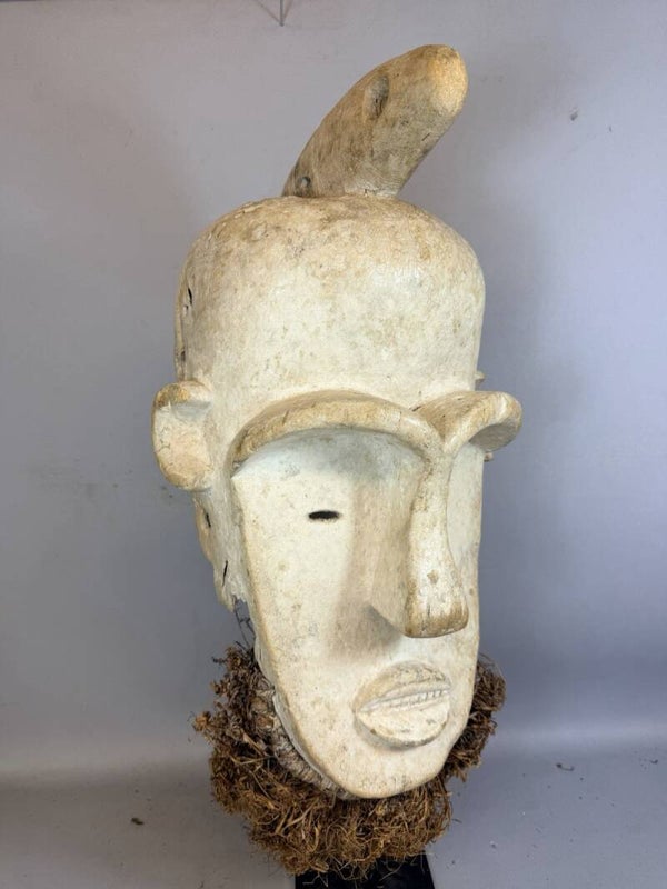 260913 - Old African Fang mask with Raffia beard - Gabon.