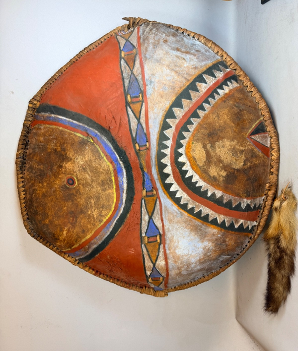 260980 - Old large used African Maasai shield from the Kisongo group - Tanzania