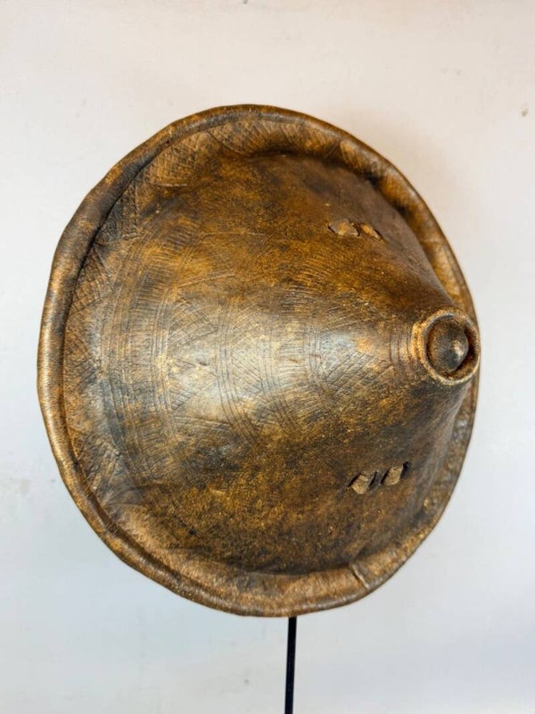 261097 - Antique African Ethiopian Amhara warrior shield - Ethiopia