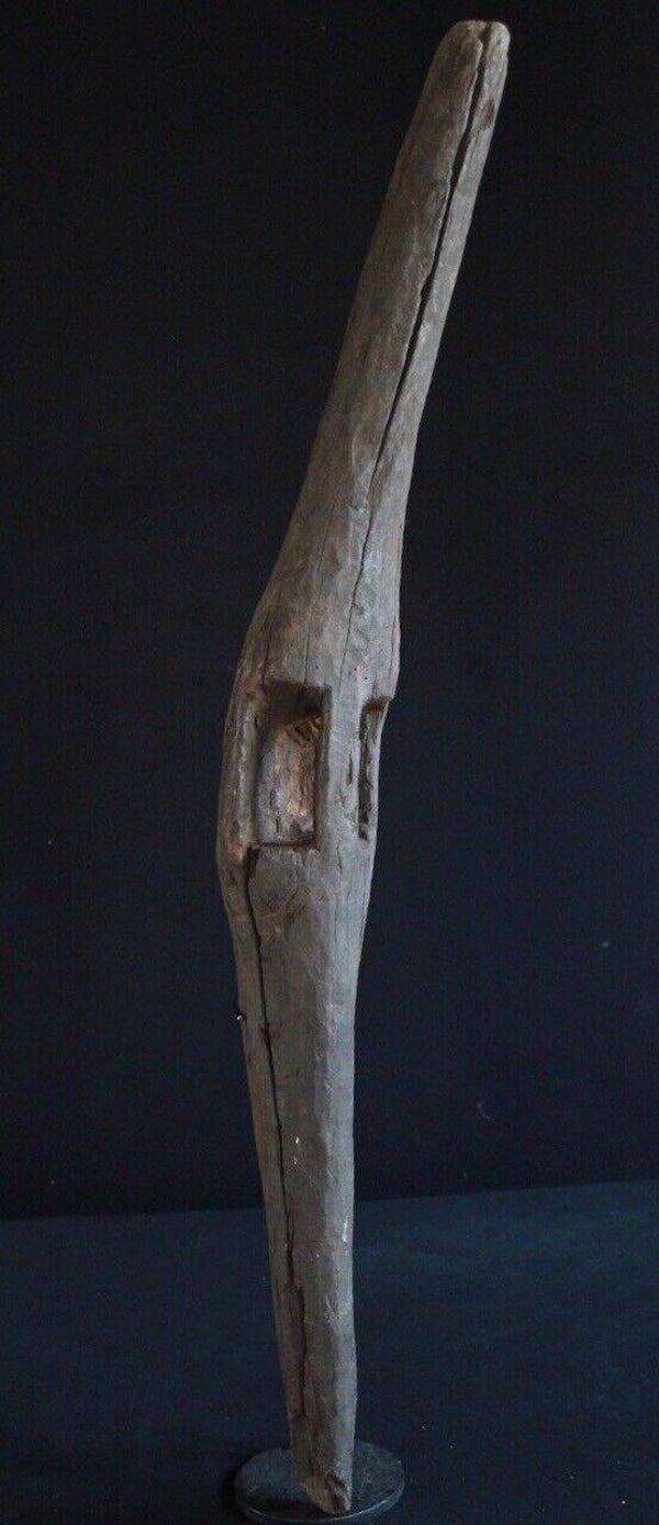 241254 - Extremly Rare & Old Dinka Parrying shield (kuerr), South Sudan.