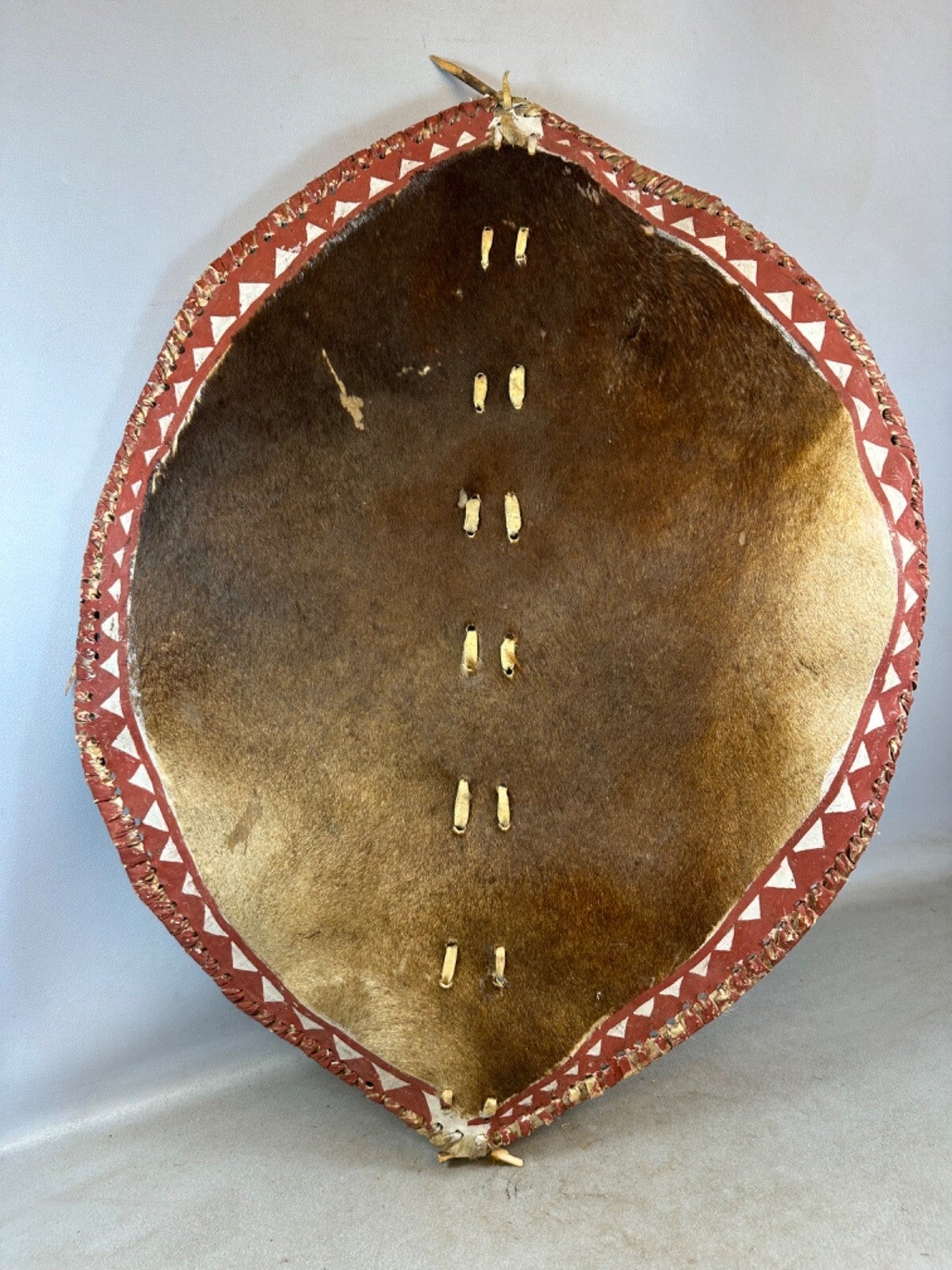 251227 - Old large used African Maasai shield from the Kisongo group - Tanzania