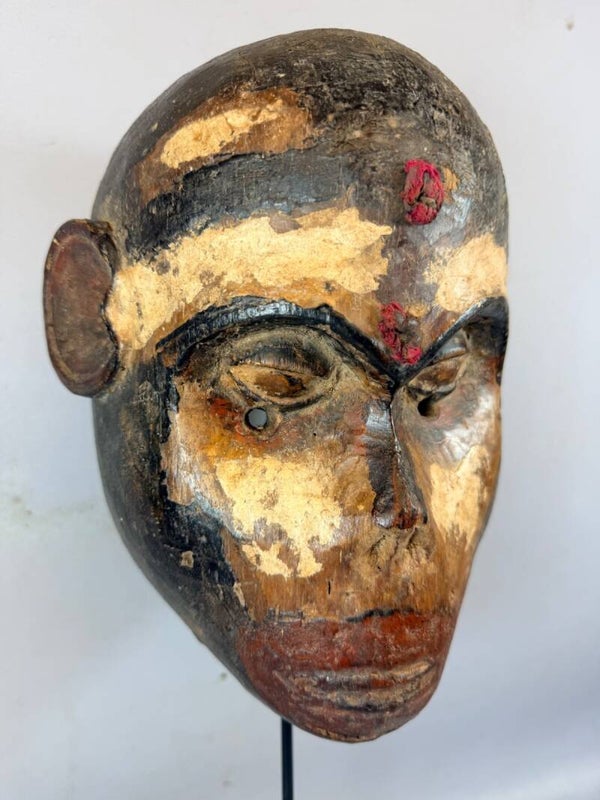 260972 - Rara & Old African Baule monkey mask - Iv. Coast.