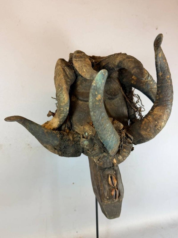 261046 - Rare & Old African Gela Guere Warrior Horn Head mask - Iv. Coast