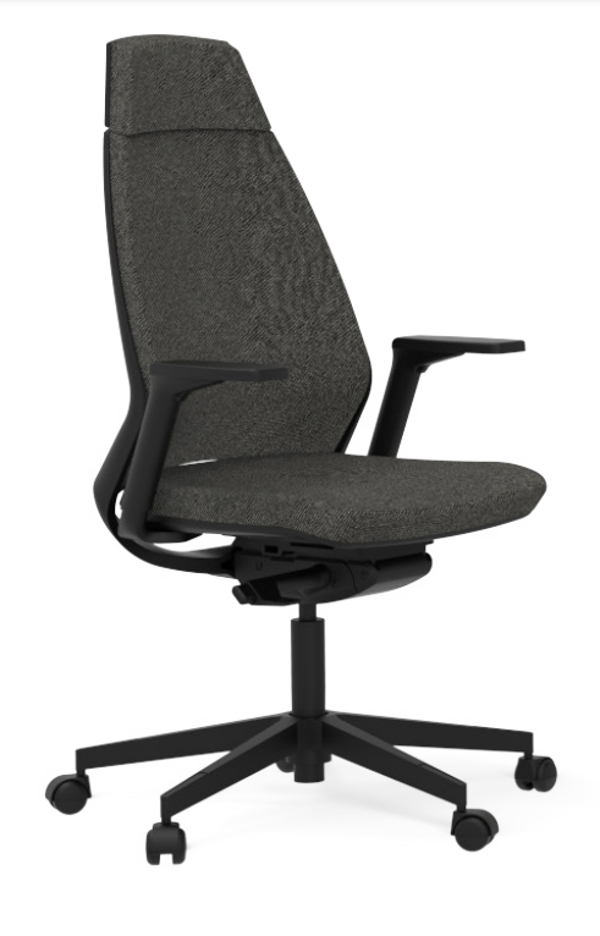Fauteuil ergonomique ELIOTT