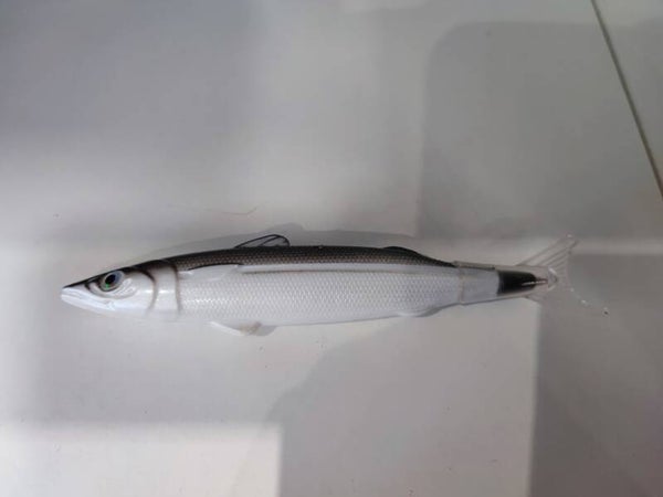 Stylo poisson
