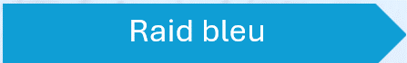 Raid bleu