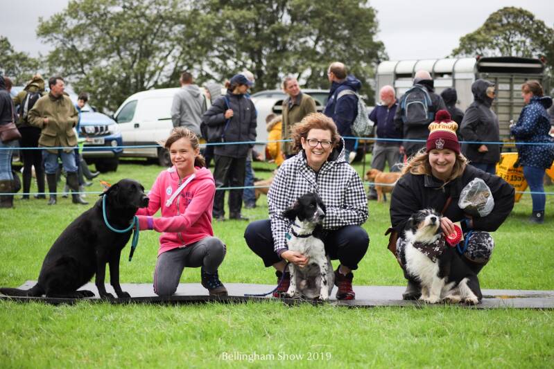Dogs winning prizes  at Bellingham Show Northumberland