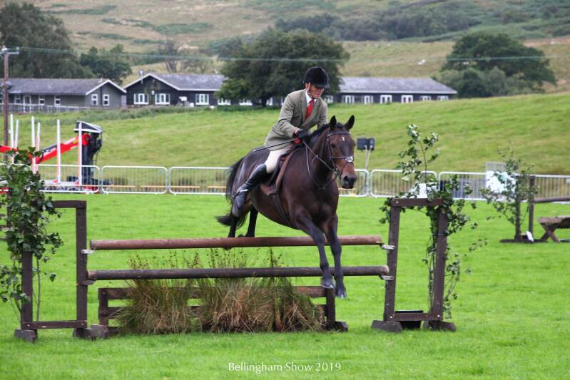 show jumper jumping fence  at Bellingham Show Northumberland