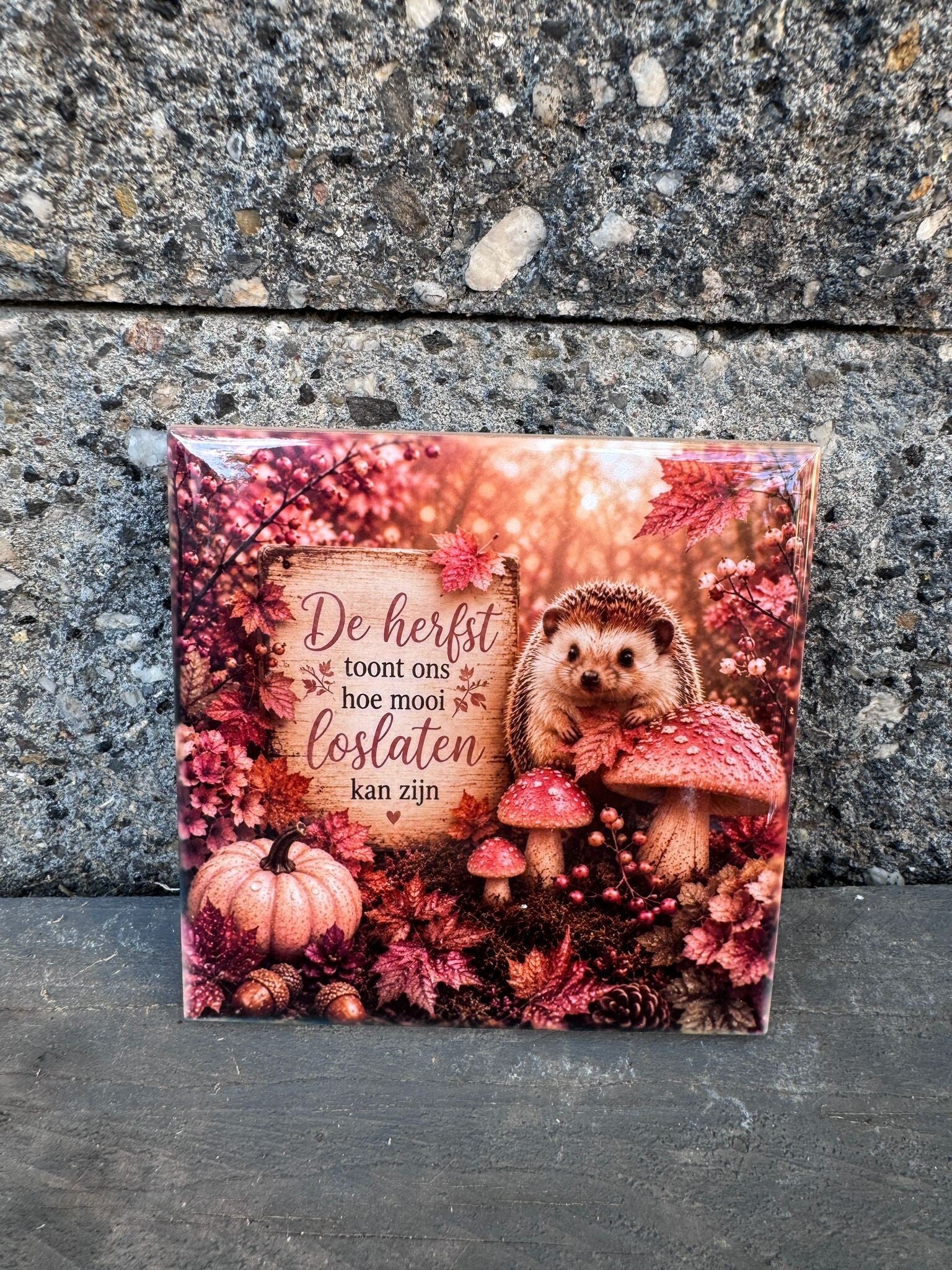 Tegel | Egeltje met Quote