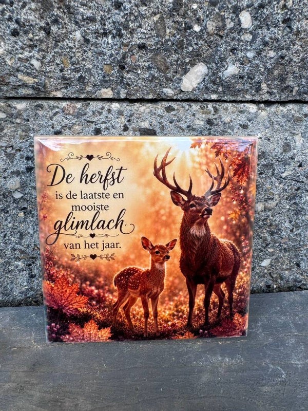 Tegel | Hert met quote