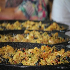 1000006376-standard.jpg