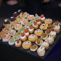 1000006377-standard.jpg