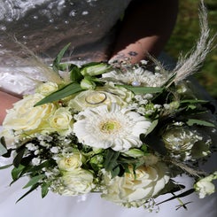 polish_20240512_211256681-standard-95bnx5.jpg