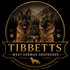 Tibbettswestgermanshepherds.com