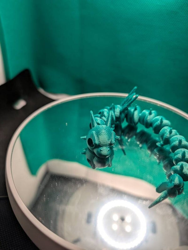 Articulated Flexi Dragon