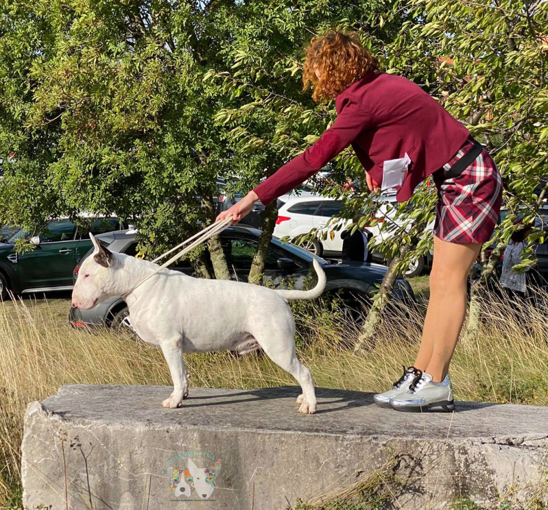 Poisson Ivy Cookie Dough